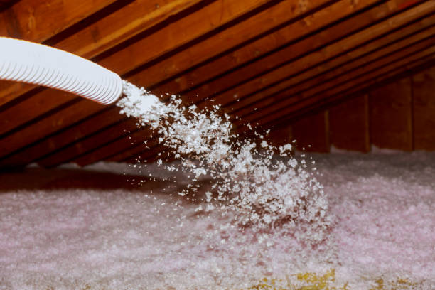 Best Insulation Contractors for Homes  in Cienegas Terrace, TX