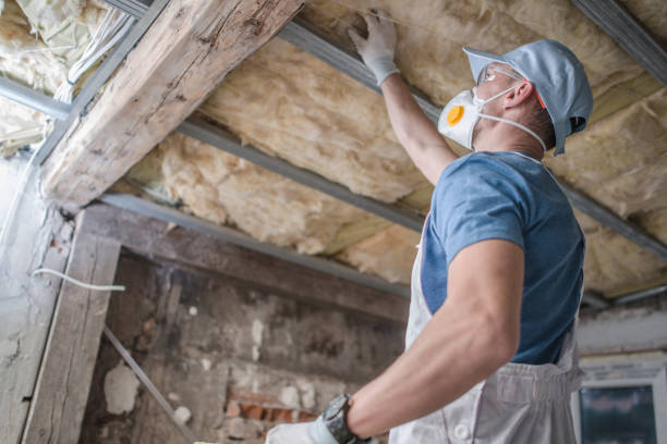 Best Insulation Replacement Services  in Cienegas Terrace, TX