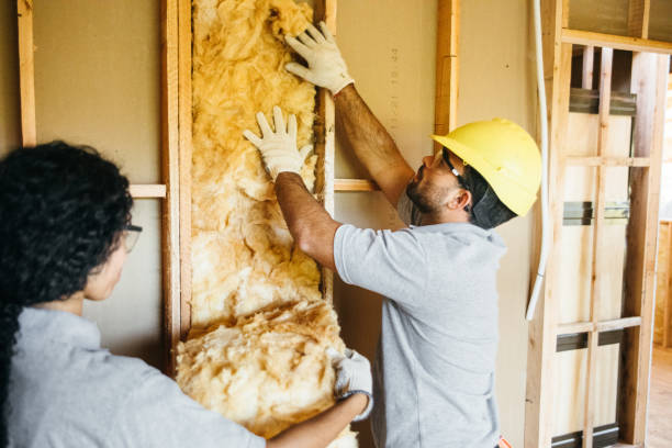 Best Residential Insulation Services  in Cienegas Terrace, TX