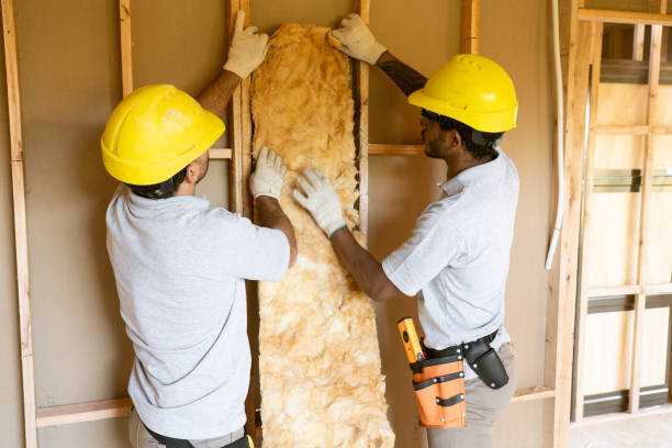 Trusted Cienegas Terrace, TX Insulation Contractor Experts