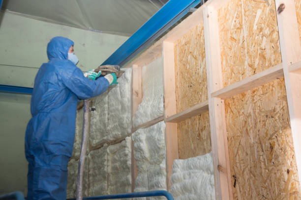 Best Spray Foam Insulation  in Cienegas Terrace, TX