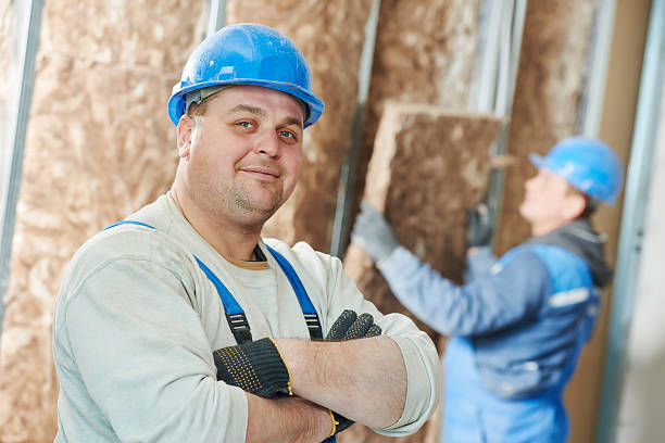 Best Attic Insulation Installation  in Cienegas Terrace, TX